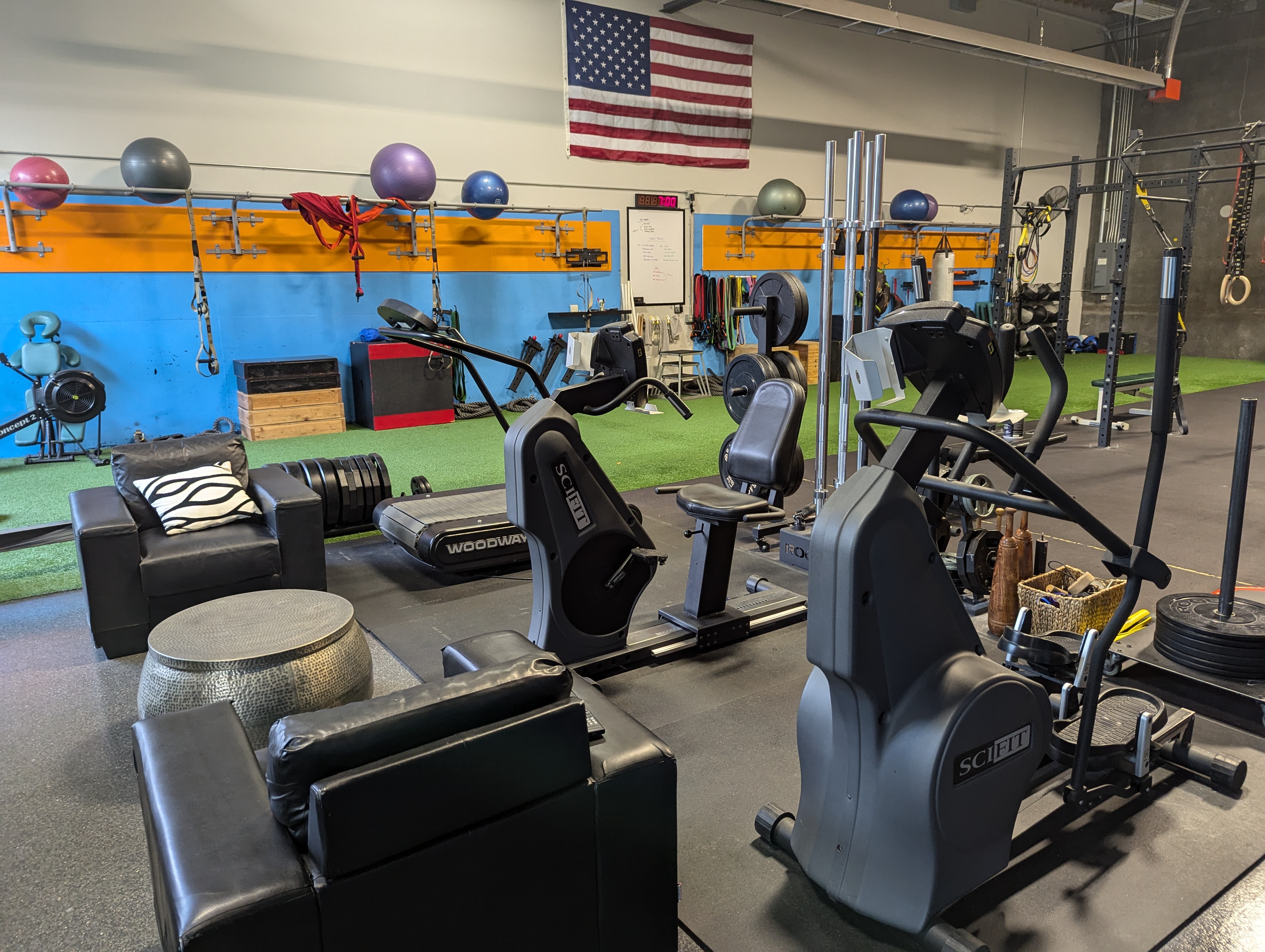 An image of the cardio equipment at Movement Revolution