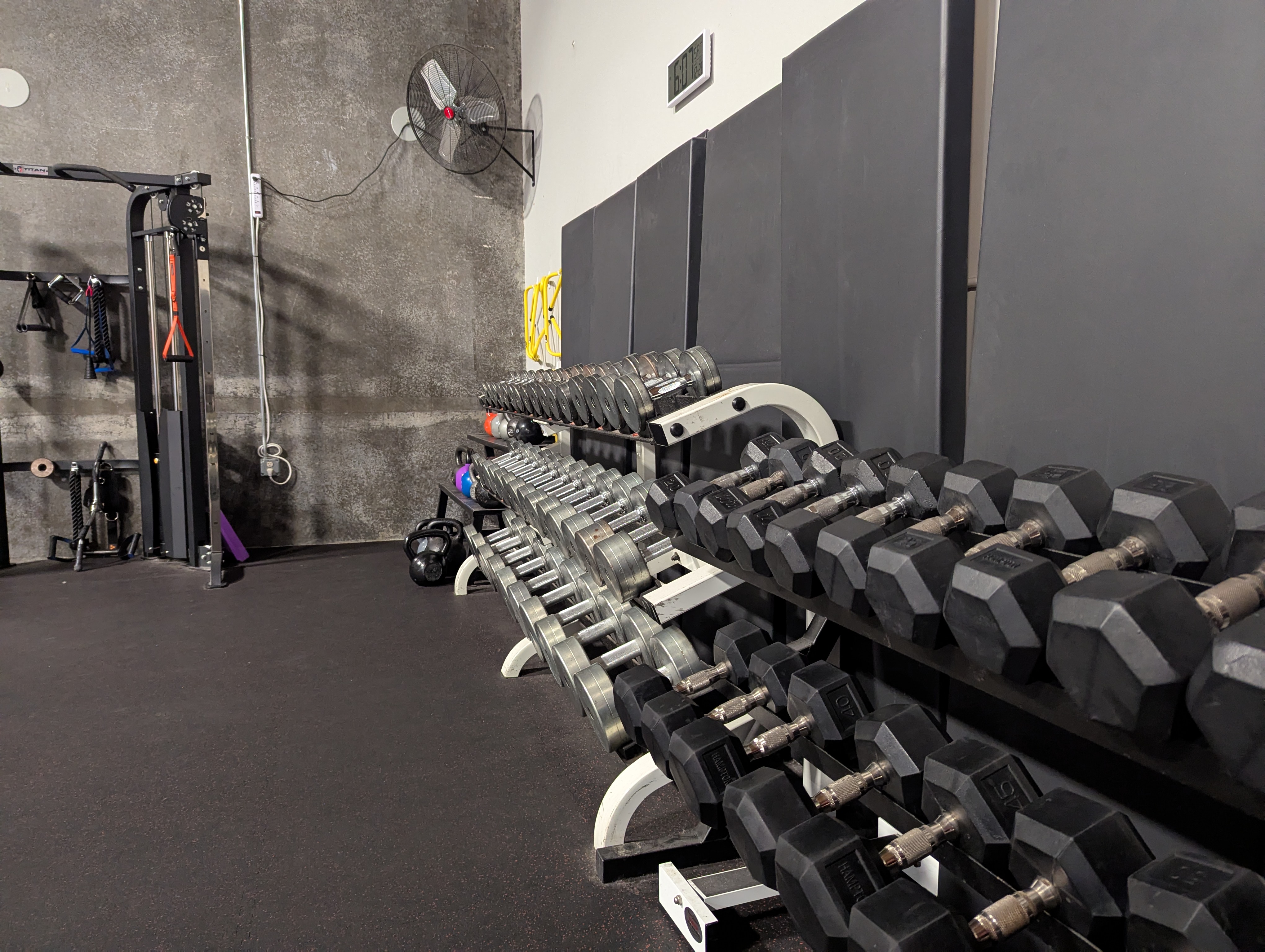 An image of a row of dumbbells at Movement Revolution