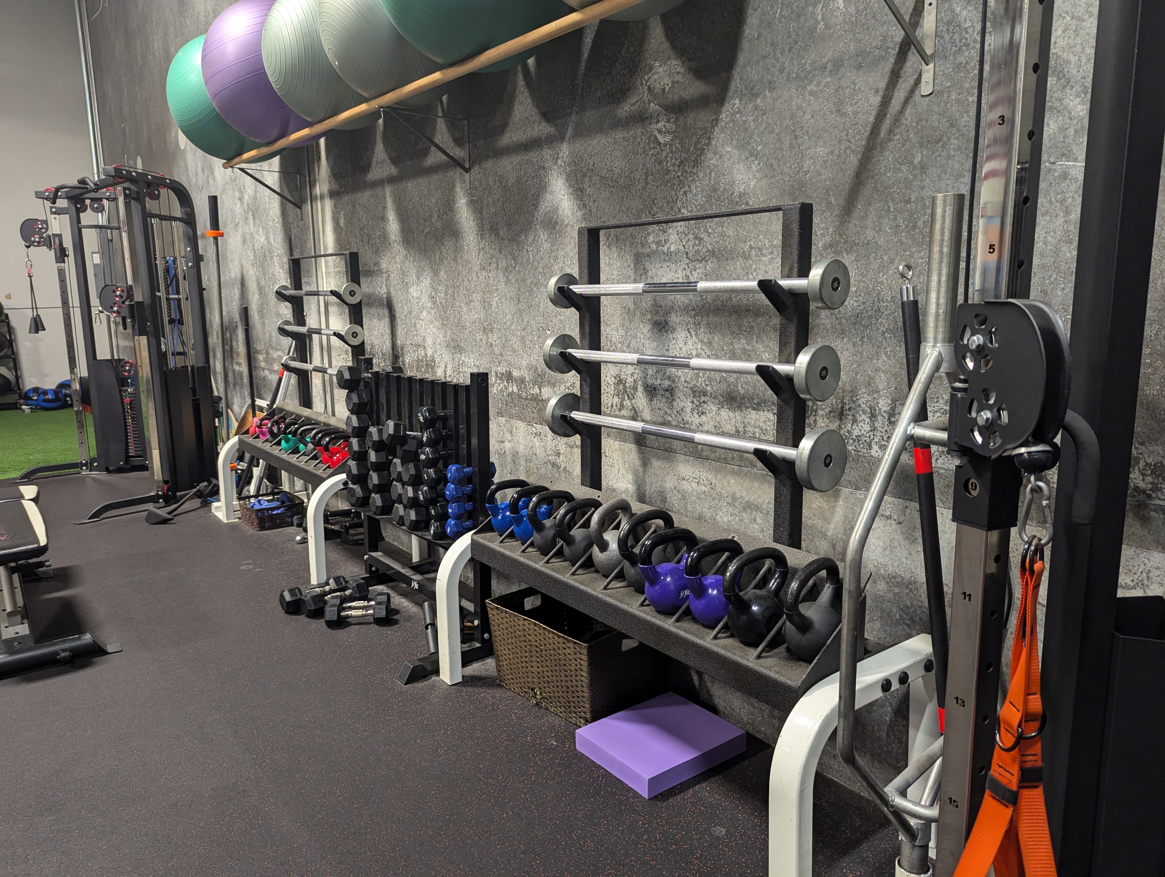 An image of dumbbells and barbells at Movement Revolution